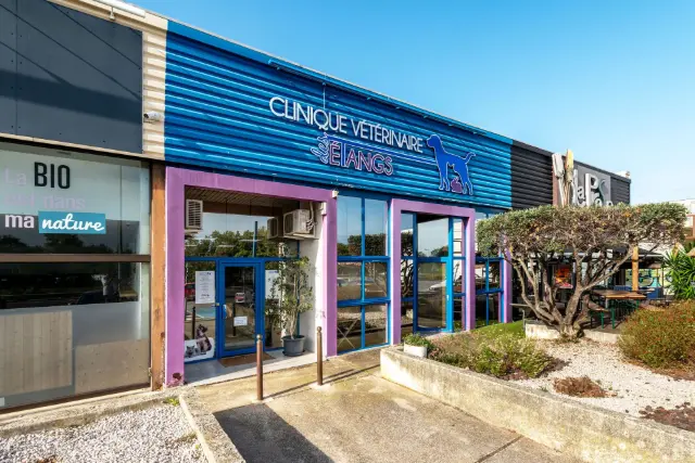 Clinique vétérinaire Argos Pérols des Etangs, photo 2