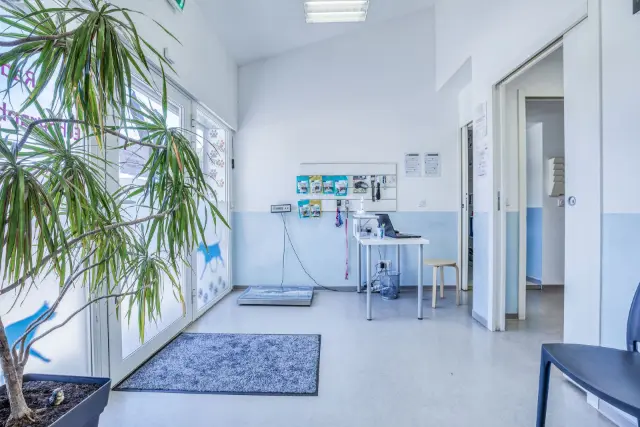 Clinique vétérinaire Argos Grabels, photo 1