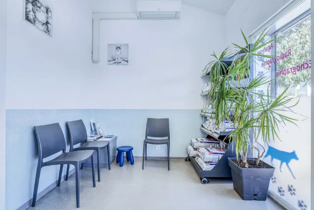 Clinique vétérinaire Argos Grabels, photo 2