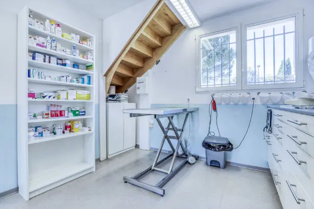 Clinique vétérinaire Argos Grabels, photo 3