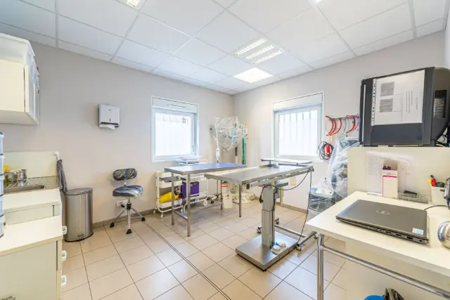 Clinique vétérinaire Argos Aulnaies Maison Rouge, photo 2