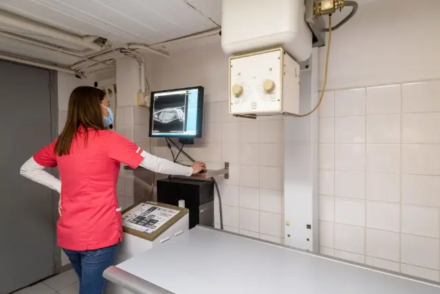 Clinique vétérinaire Argos Nancy Brabois, photo 3