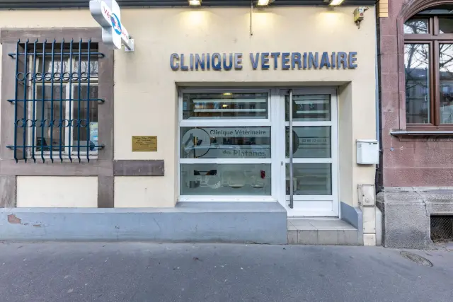Clinique vétérinaire Argos Strasbourg Les Platanes, photo 2