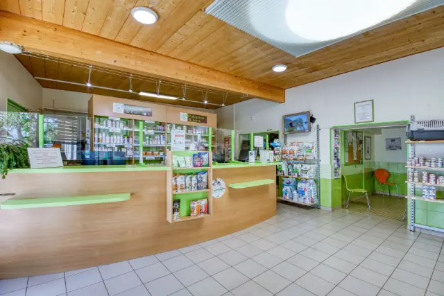 Clinique vétérinaire Argos Gannat, photo 1