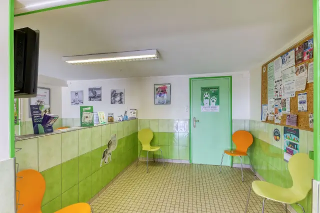 Clinique vétérinaire Argos Gannat, photo 2