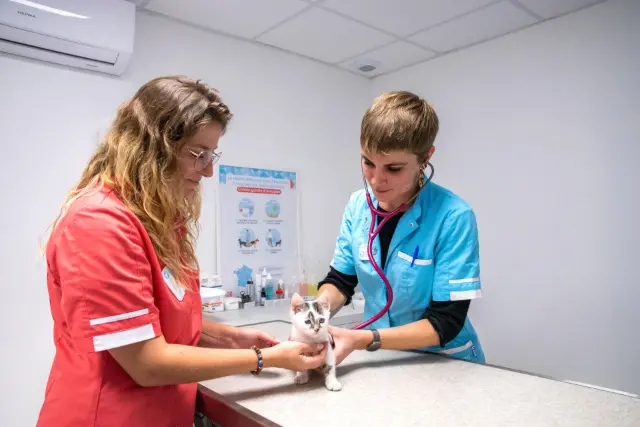 Clinique vétérinaire Argos Saint-Etienne Carnot, photo 1