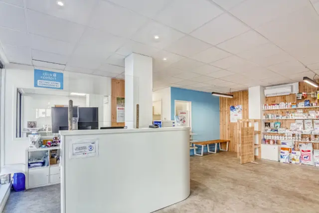 Clinique vétérinaire Argos Saint-Etienne Pasteur, photo 2