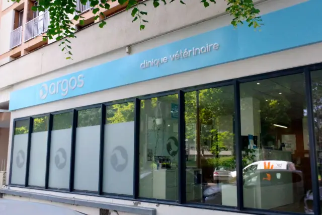 Clinique vétérinaire Argos Saint-Etienne Pasteur, photo 3