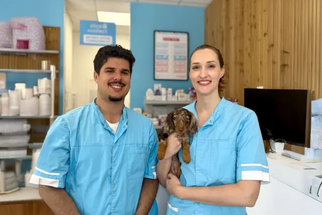 Clinique vétérinaire Argos Montpellier Gambetta, photo 2