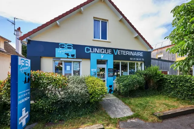 Clinique vétérinaire Argos Caen Guynemer, photo 3