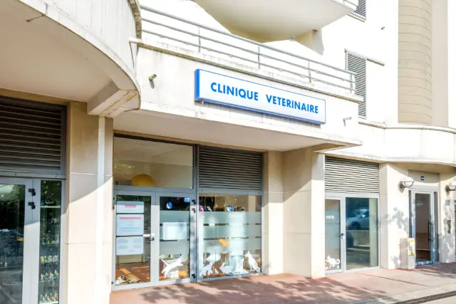 Clinique vétérinaire Argos Antibes Bel Air, photo 3