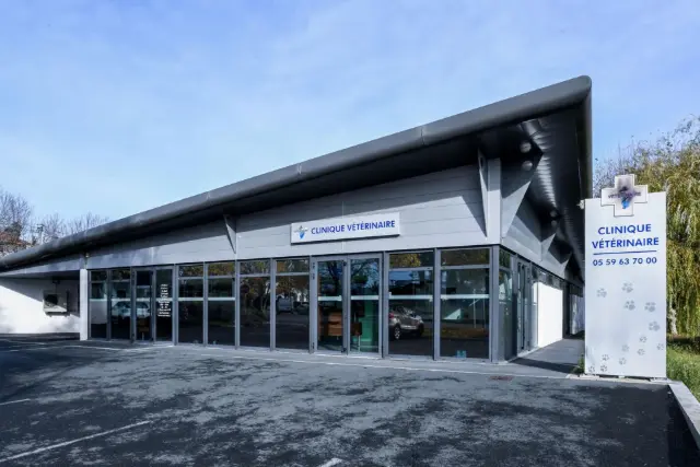 Clinique vétérinaire Argos Anglet Mercure, photo 3