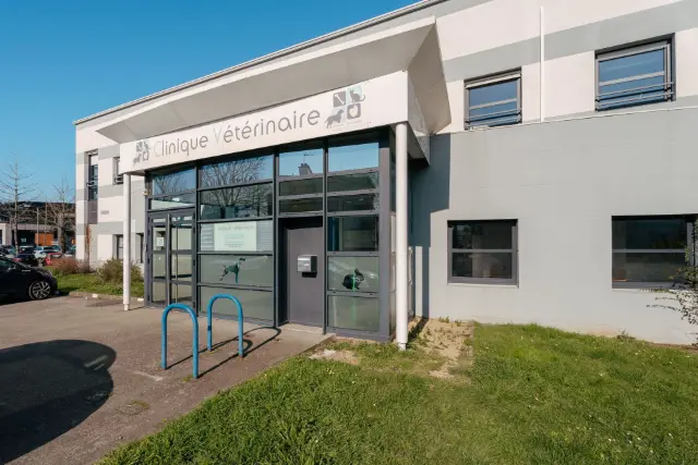 Clinique vétérinaire Argos Lorient la Découverte, photo 3