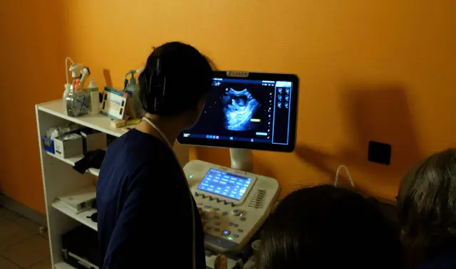 Clinique vétérinaire Argos Buxerolles, photo 3