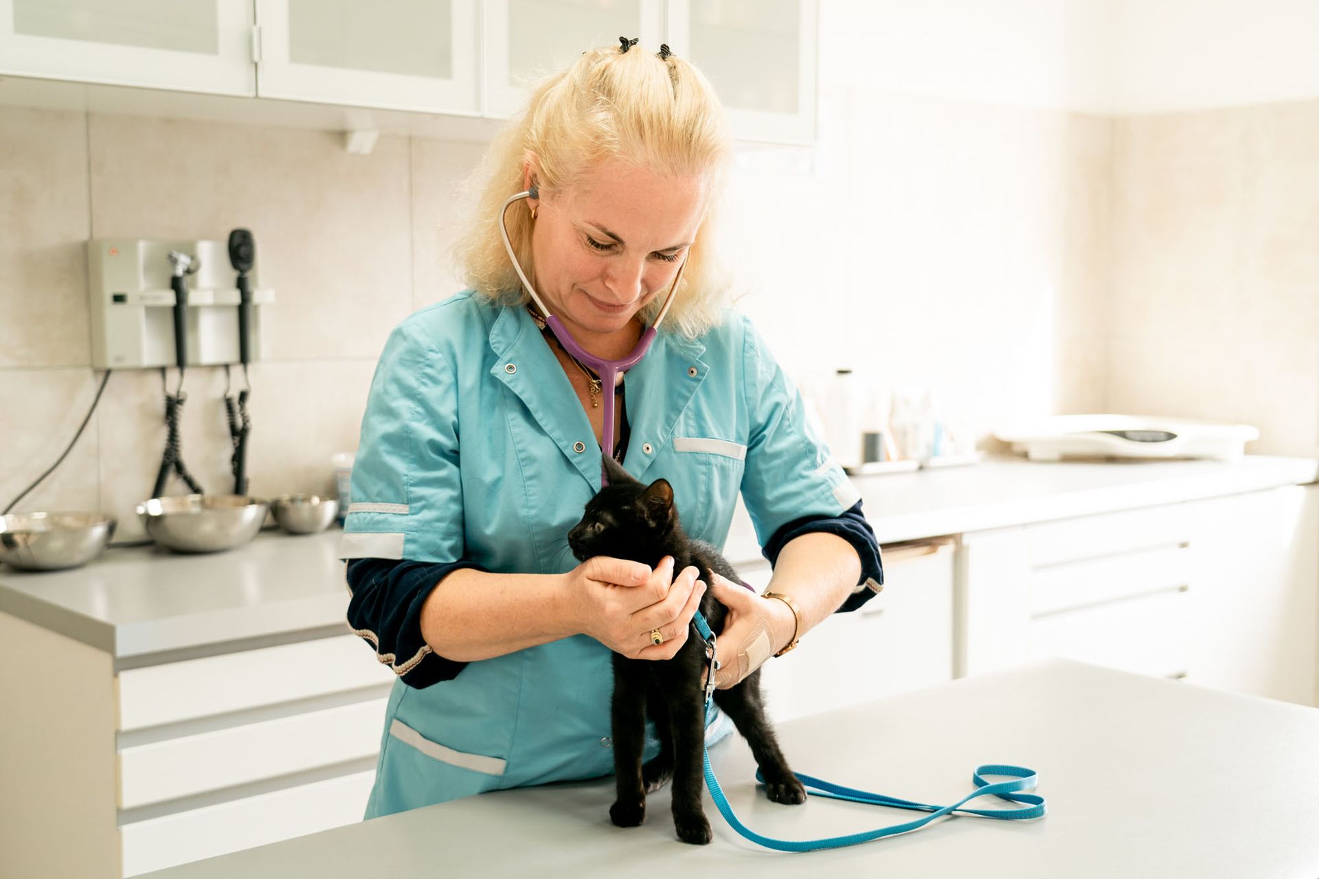 Découvrez notre clinique vétérinaire Argos Vétérinaire