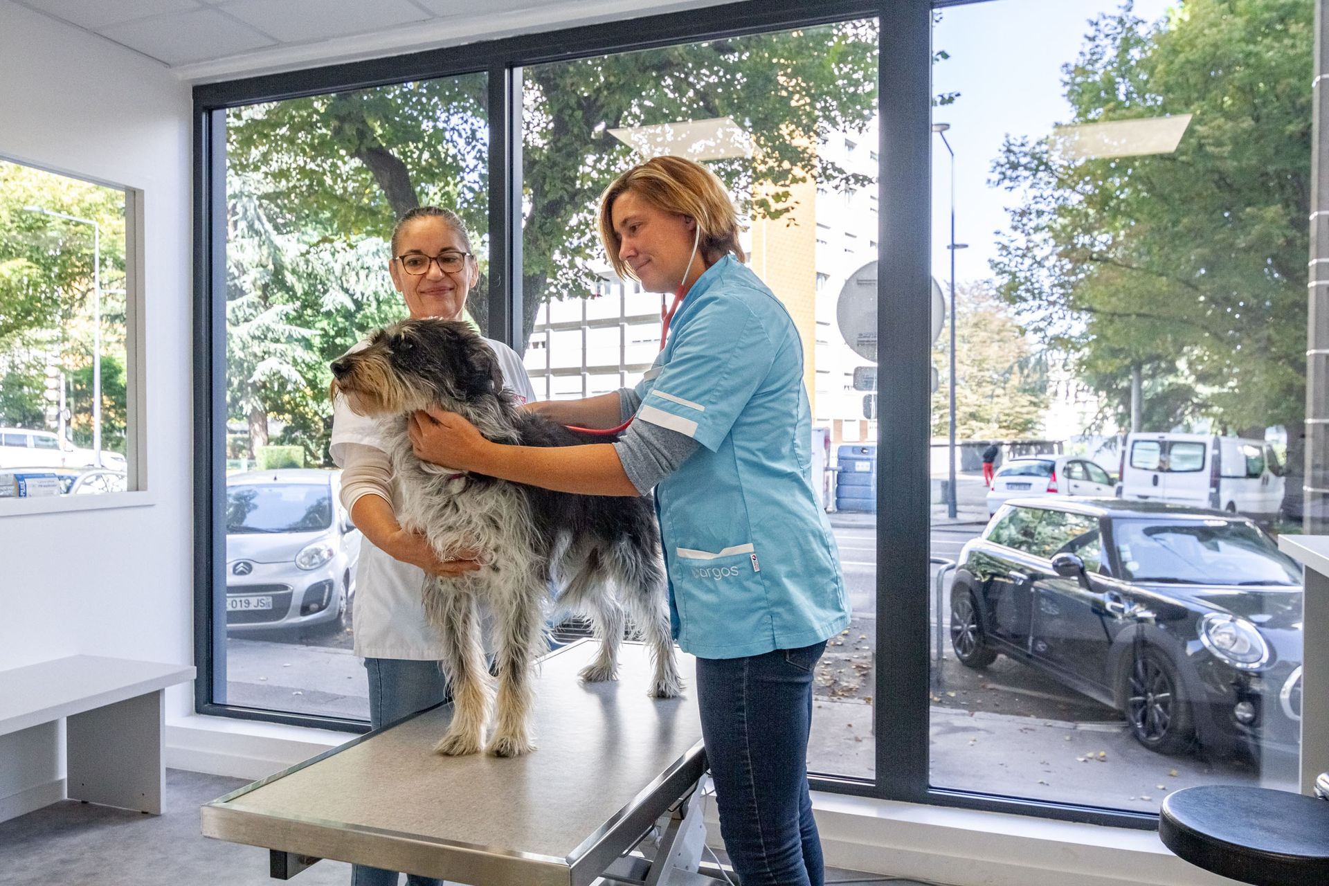 Découvrez notre clinique vétérinaire Argos Vétérinaire