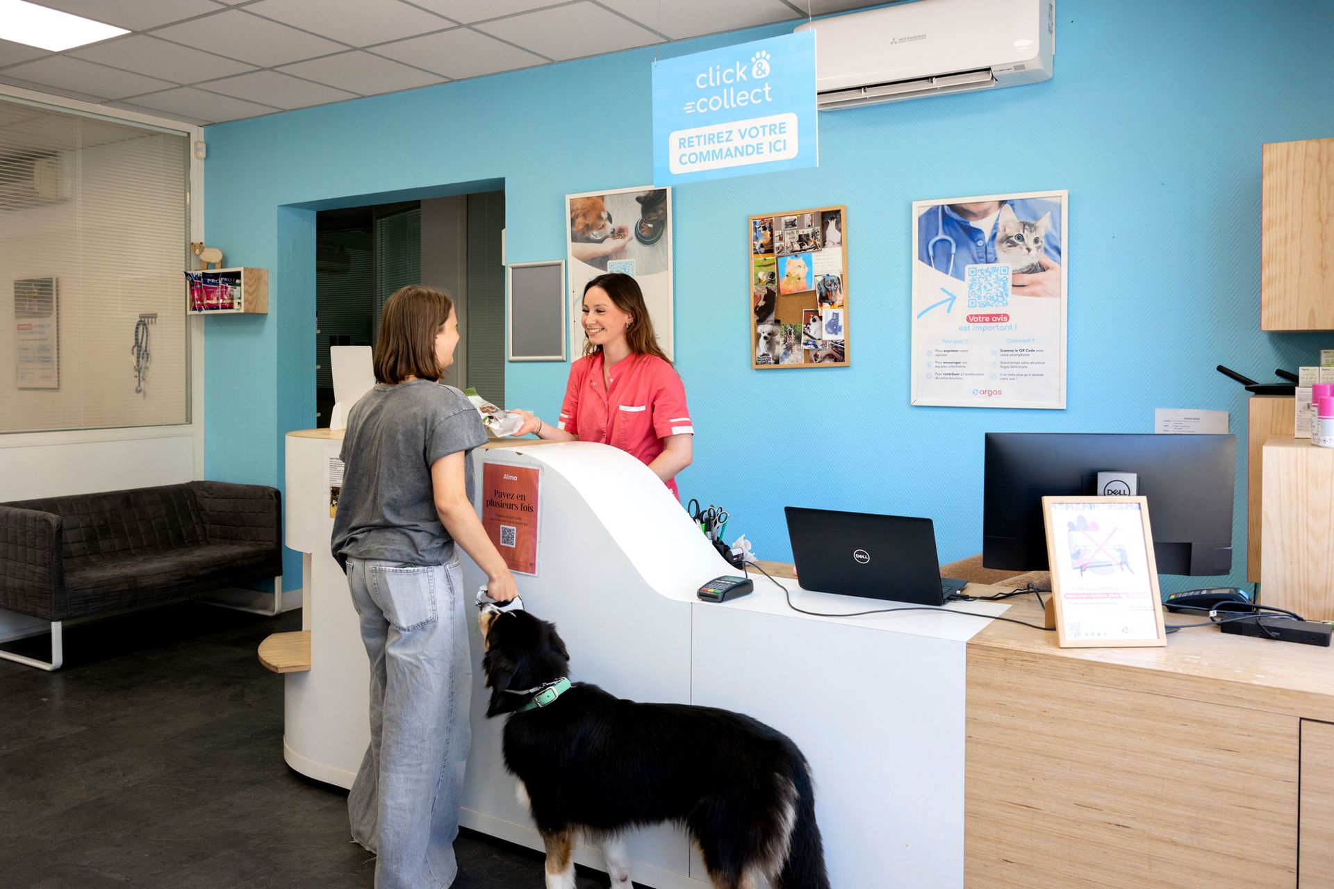 Découvrez notre clinique vétérinaire Argos Vétérinaire