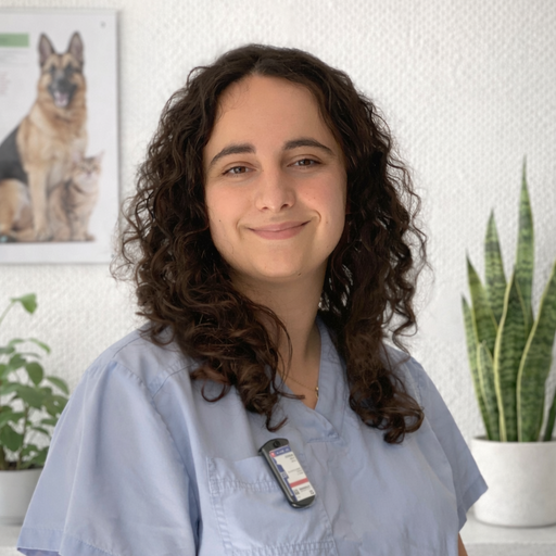 MASSOL CLARA