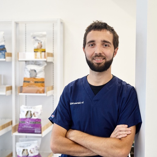 Dr Clément Paillusseau