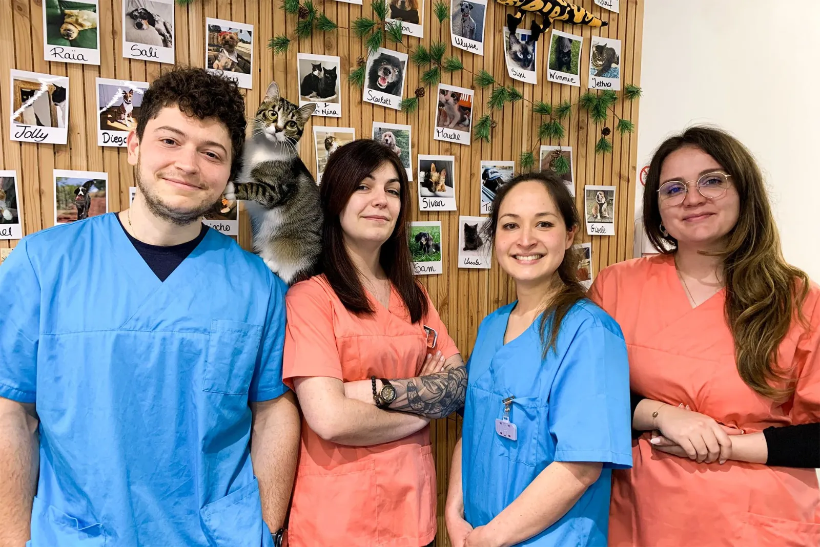 Clinique vétérinaire Argos Toulouse les Carmes