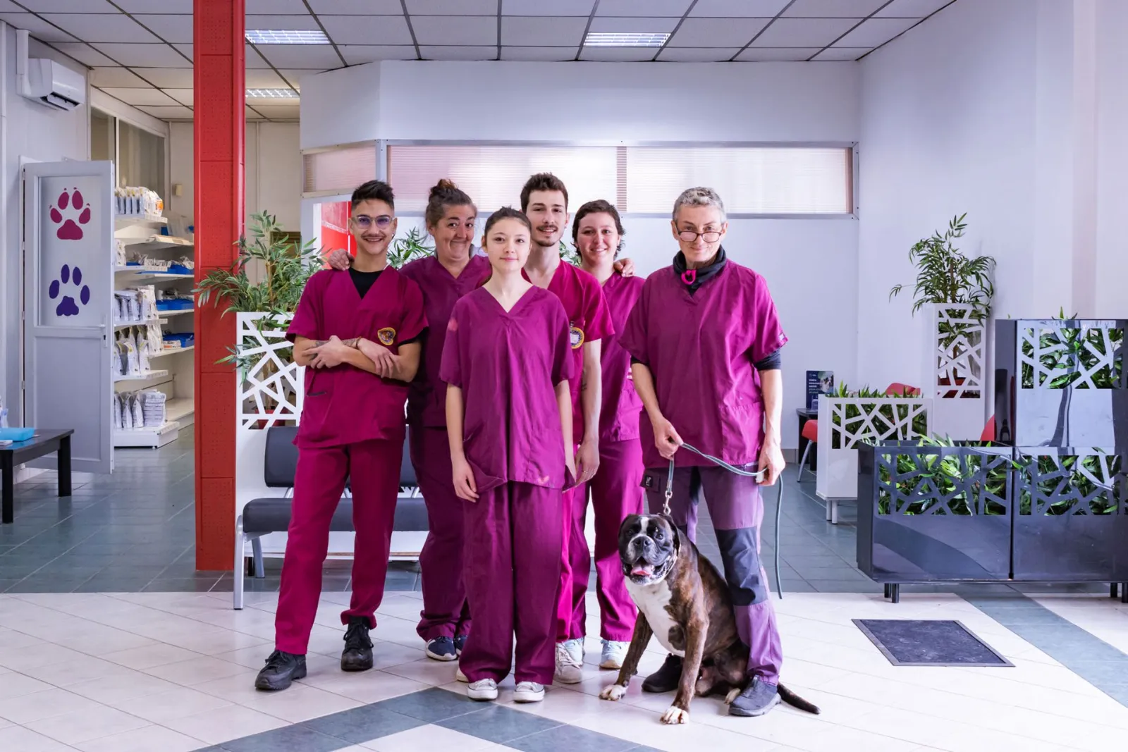 Clinique vétérinaire Argos Brive les Cèdres