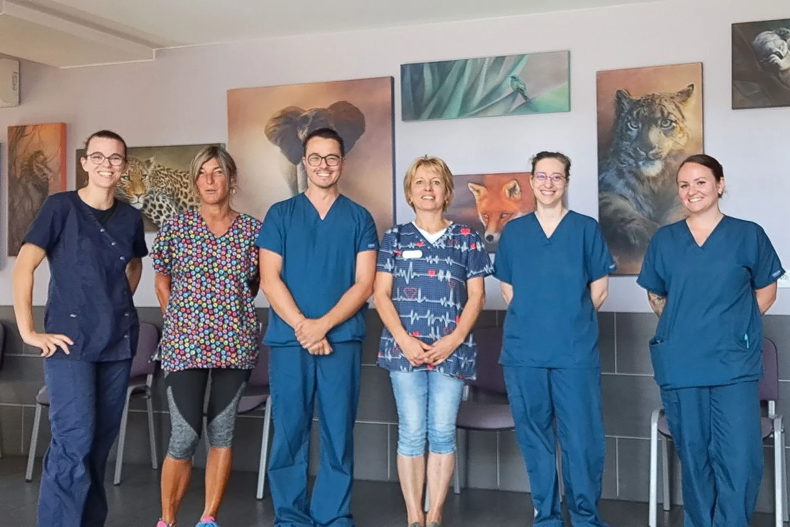 Clinique vétérinaire Argos Cernay